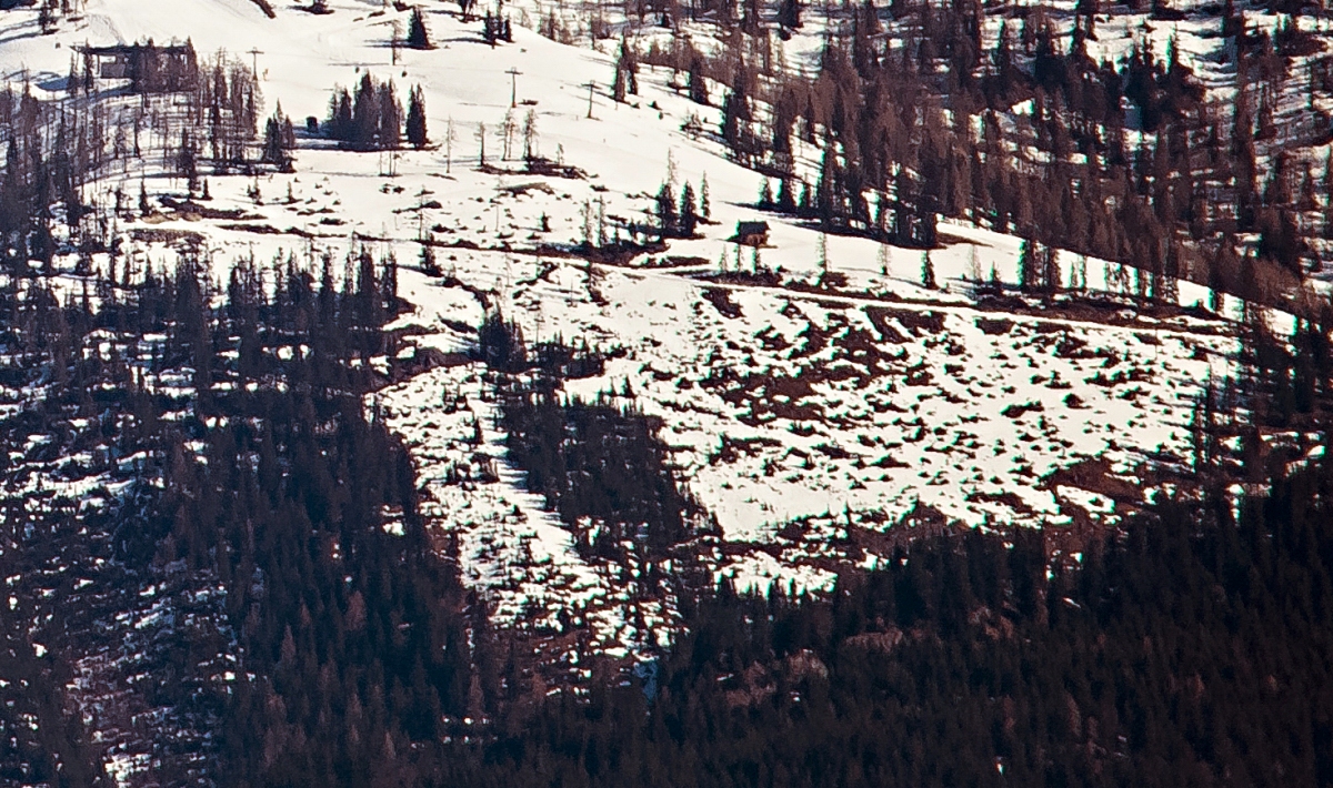 _dsc0698atsyyh.jpg