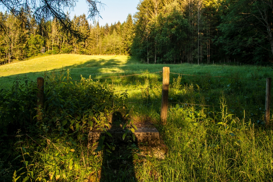 _dsc07022a6fm0.jpg