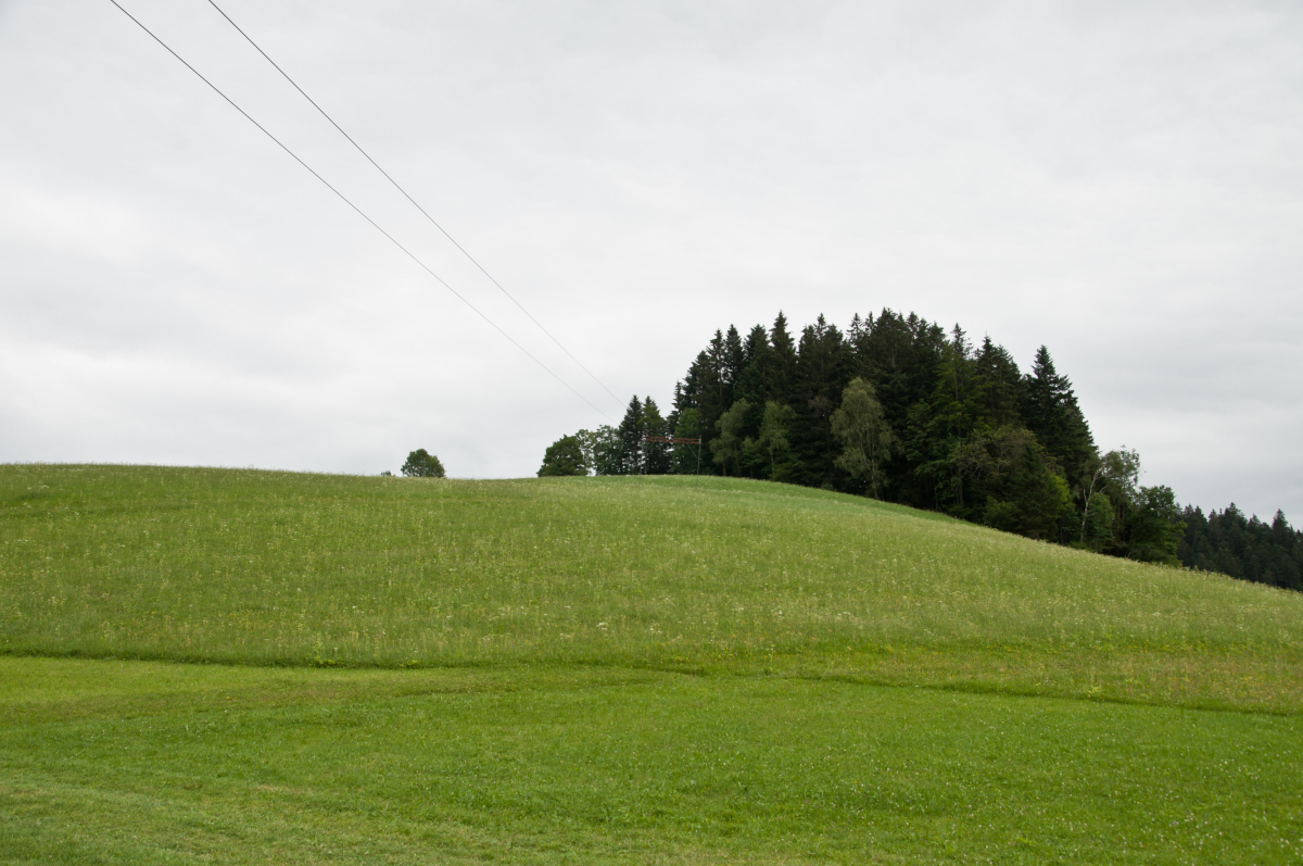 _dsc07051fkl9.jpg