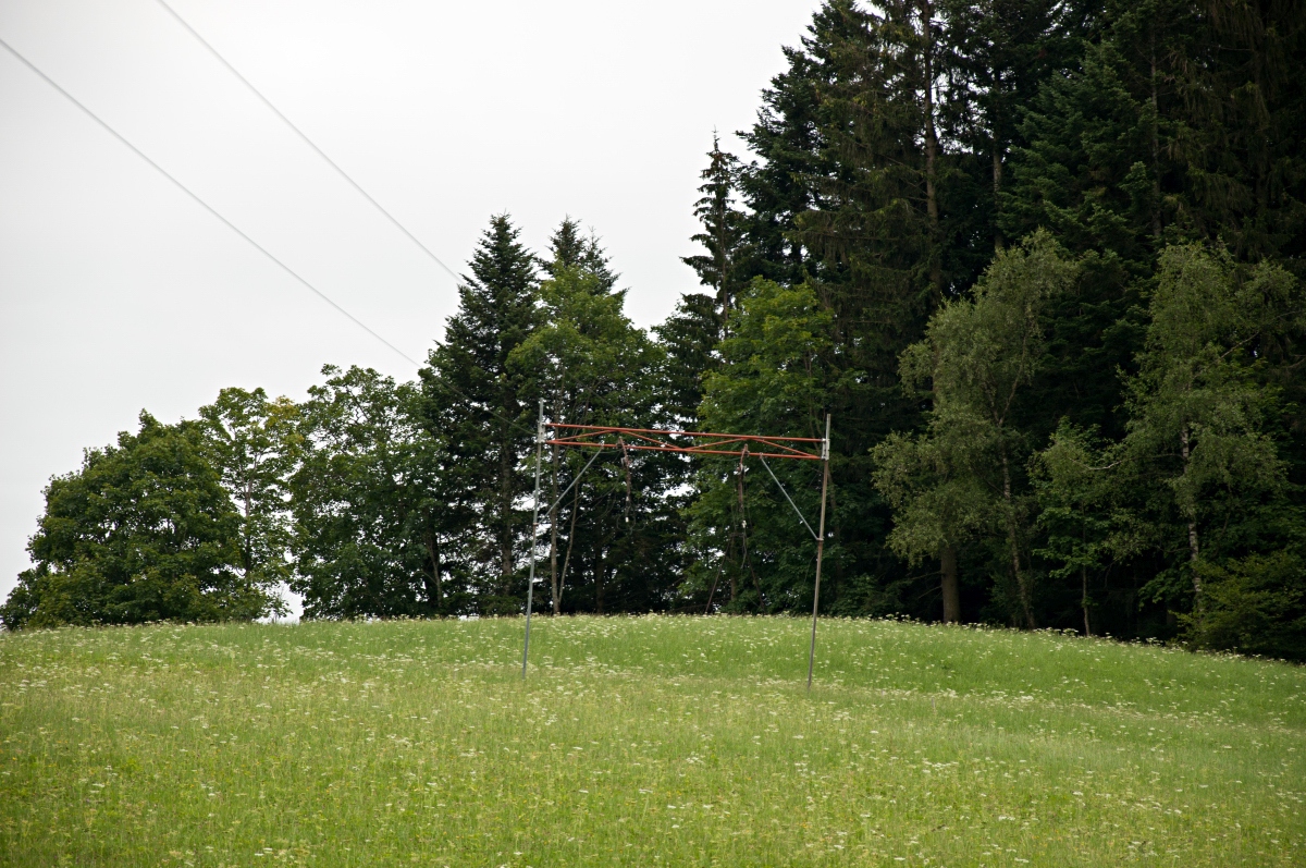 _dsc07067jk7y.jpg