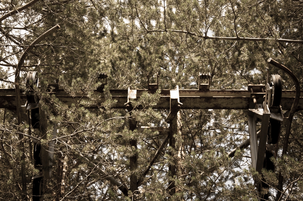 _dsc0707t3sxq.jpg