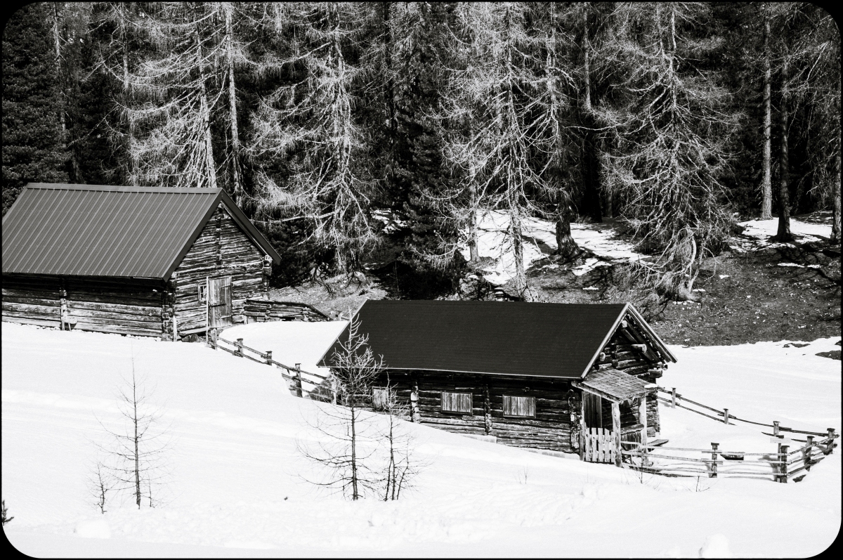_dsc0708uqa82.jpg