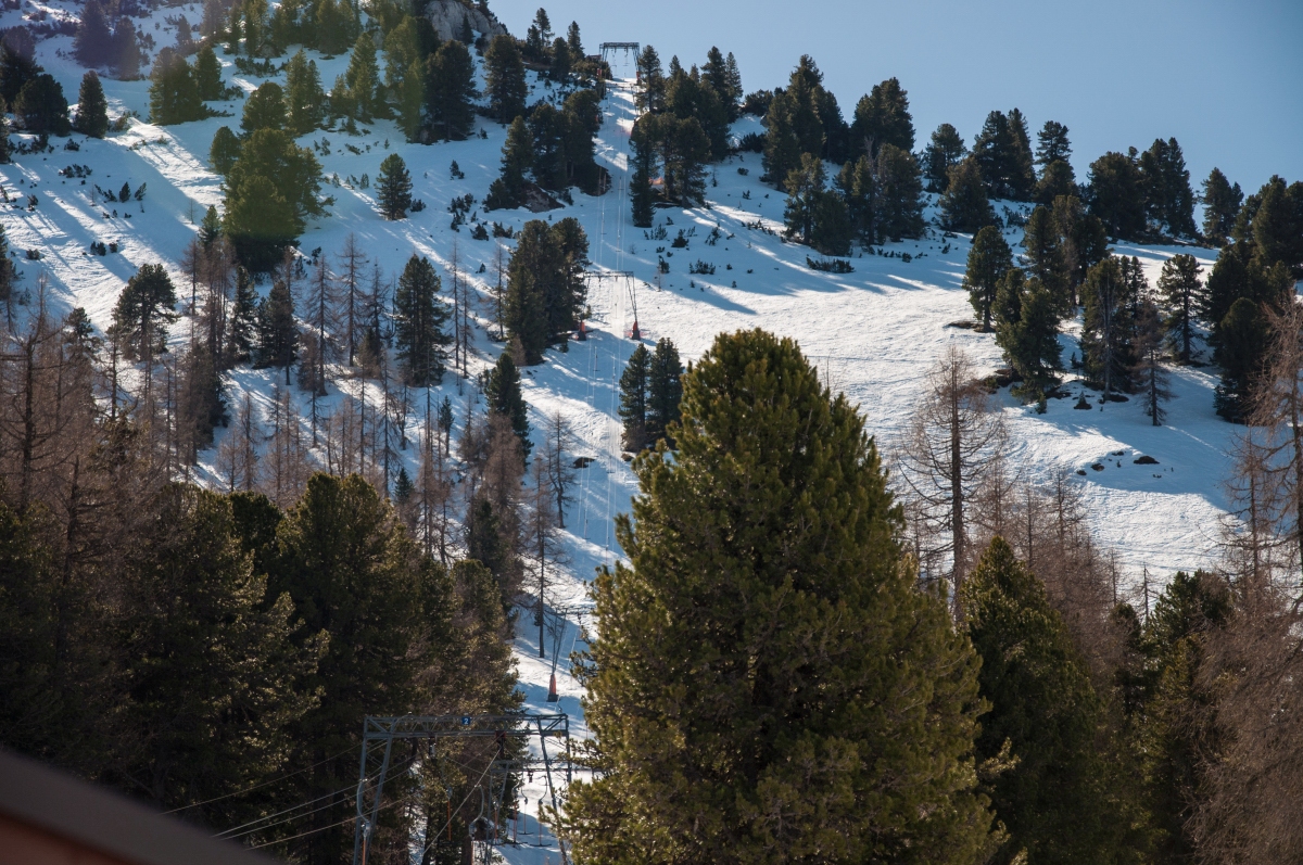 _dsc0710veyoz.jpg