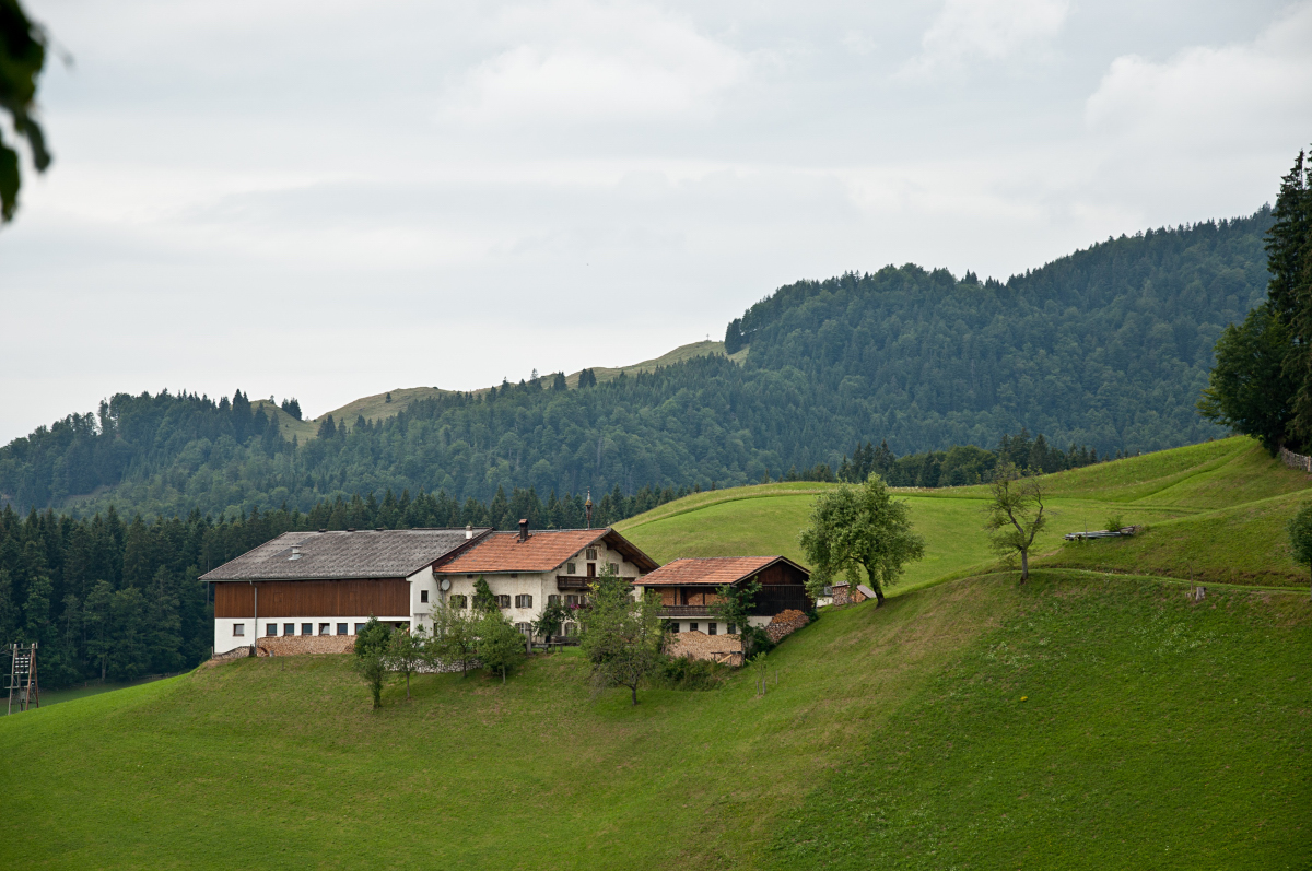 _dsc0713qijf1.jpg