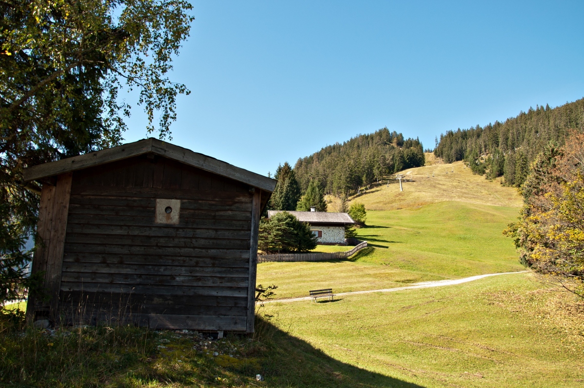 _dsc077669lfi.jpg