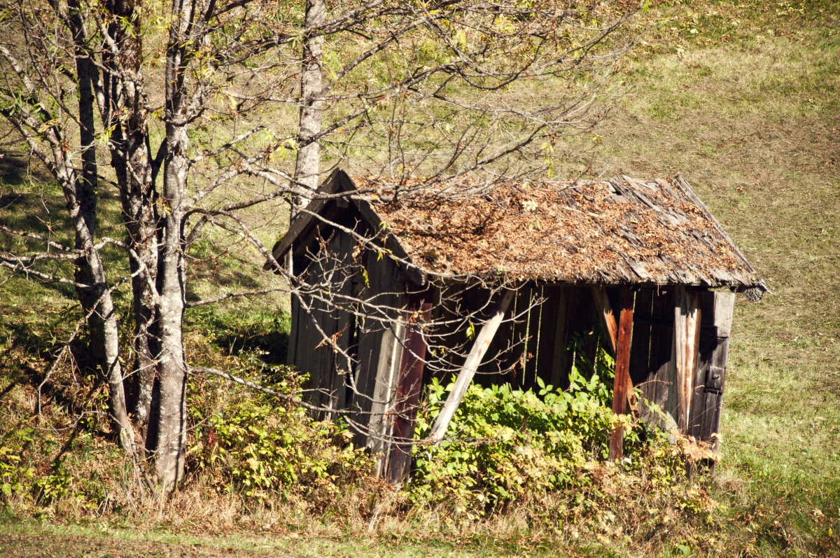 _dsc078741x29.jpg