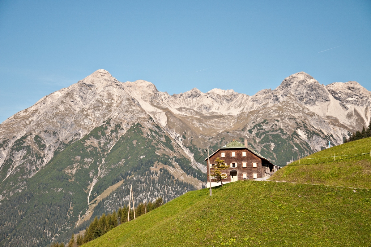 _dsc0792yabia.jpg