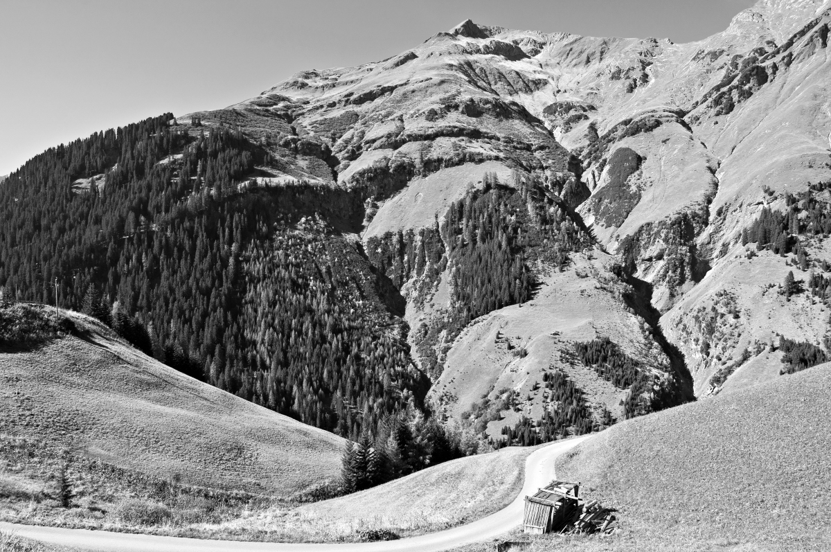 _dsc0794fvlel.jpg