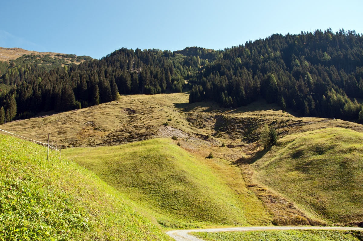 _dsc0798ezyrh.jpg