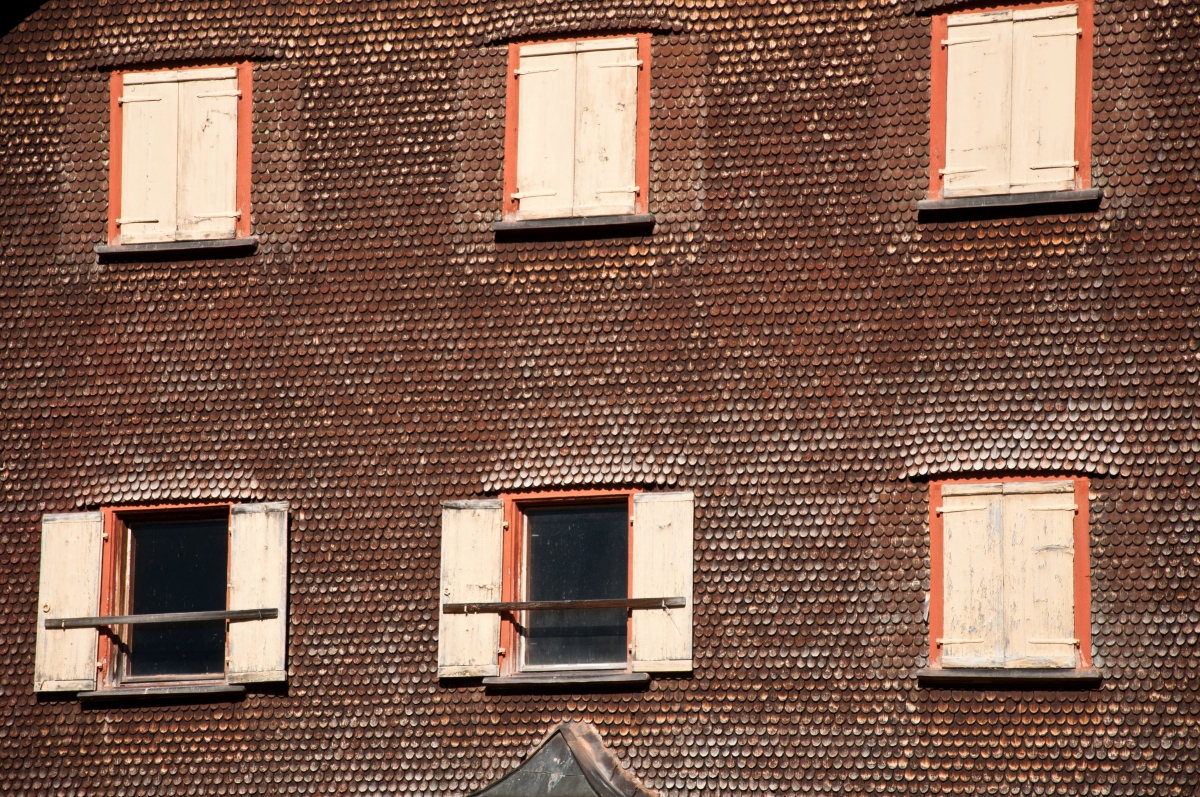_dsc0803zfxeo.jpg