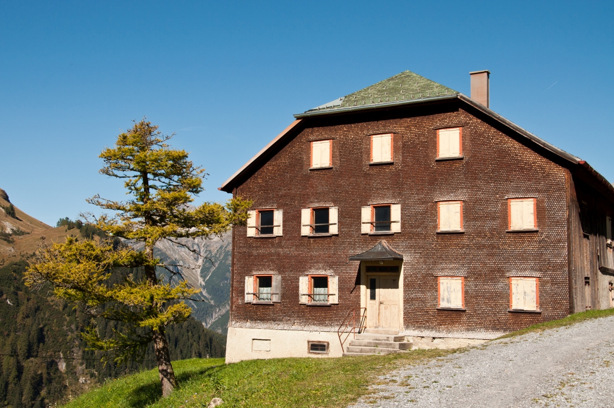 _dsc0804rjzf1.jpg