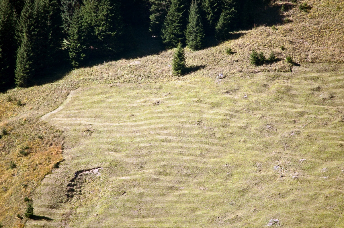 _dsc0828bau9h.jpg