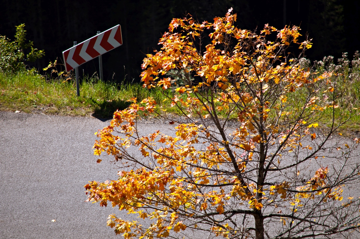 _dsc08451su0r.jpg