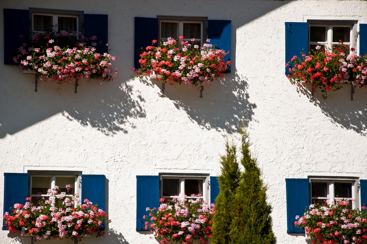 _dsc0864e0xis.jpg