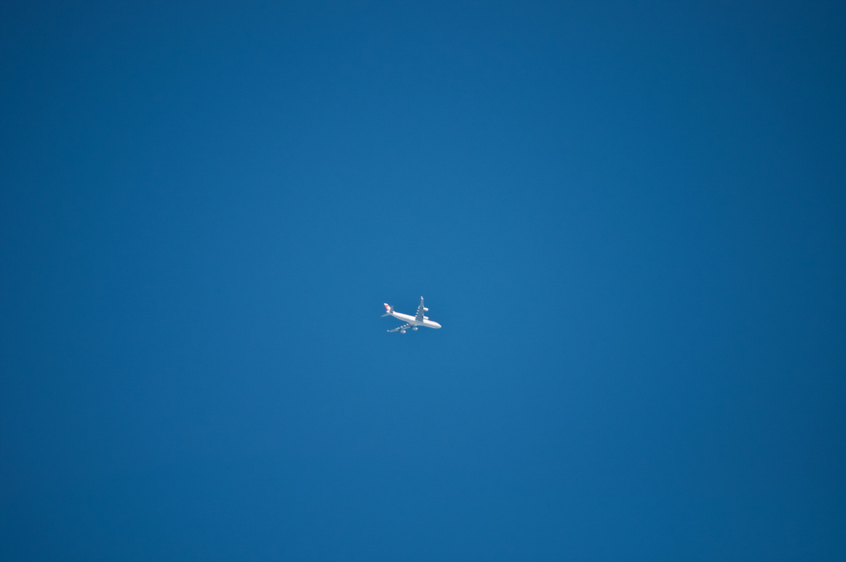 _dsc08888mzq3.jpg