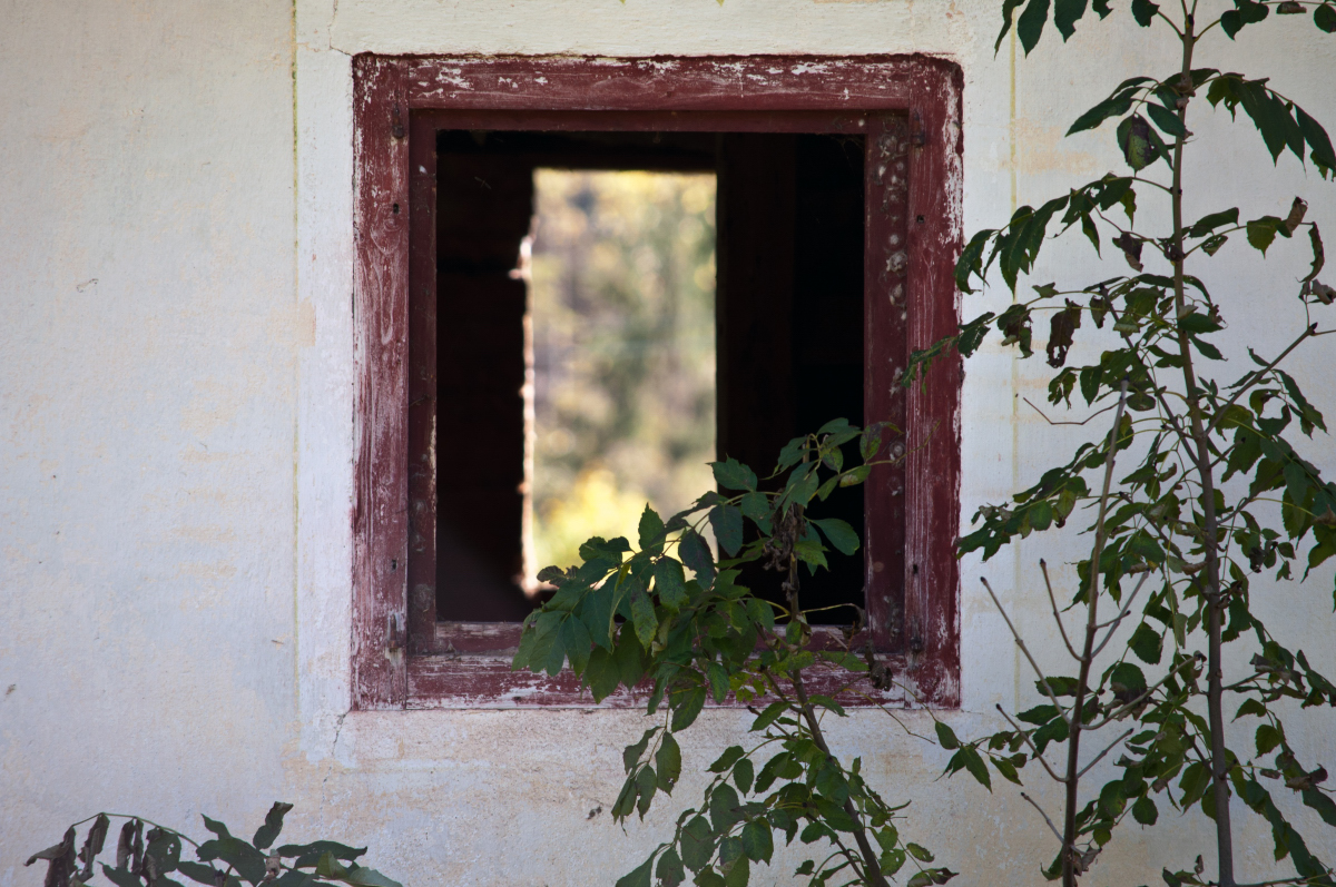 _dsc0896t3y0o.jpg