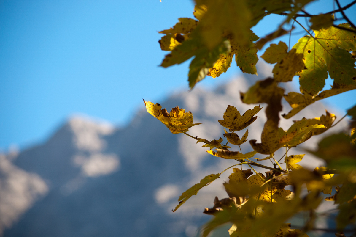 _dsc08982axrh.jpg