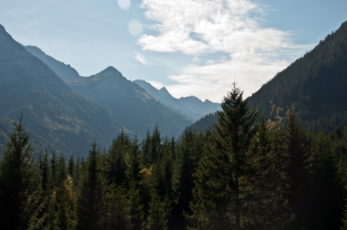 _dsc0906ixlto.jpg