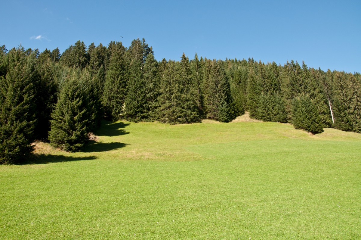 _dsc0908knkmz.jpg
