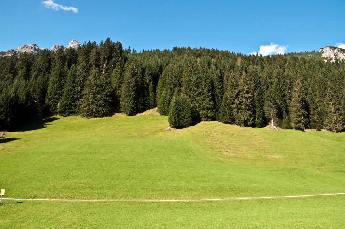 _dsc0914mwj8p.jpg