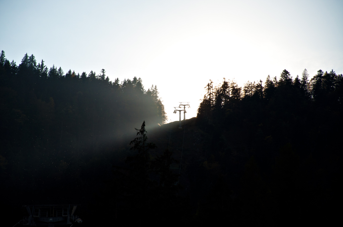 _dsc09211nkua.jpg