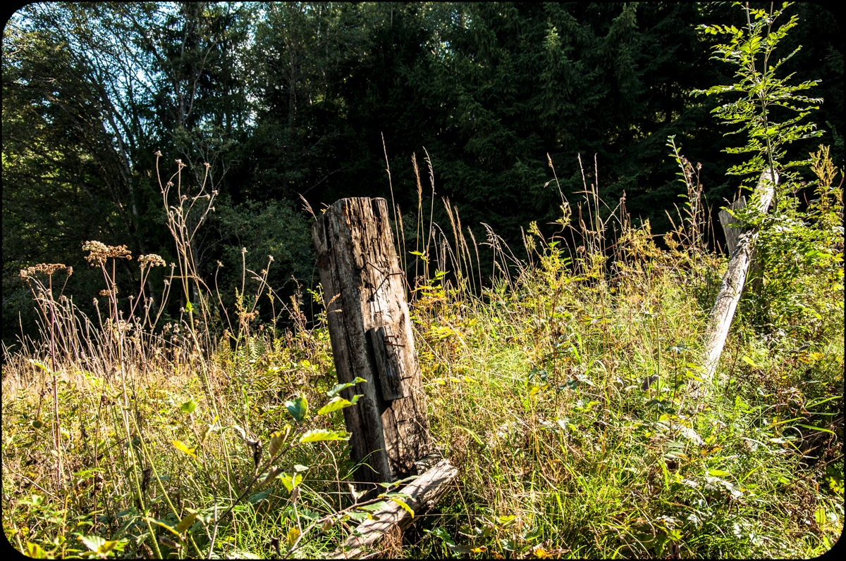 _dsc0945ohs8c.jpg