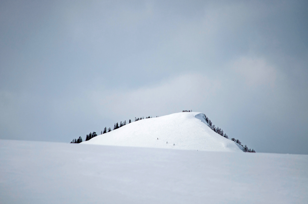 _dsc09488ojlu.jpg