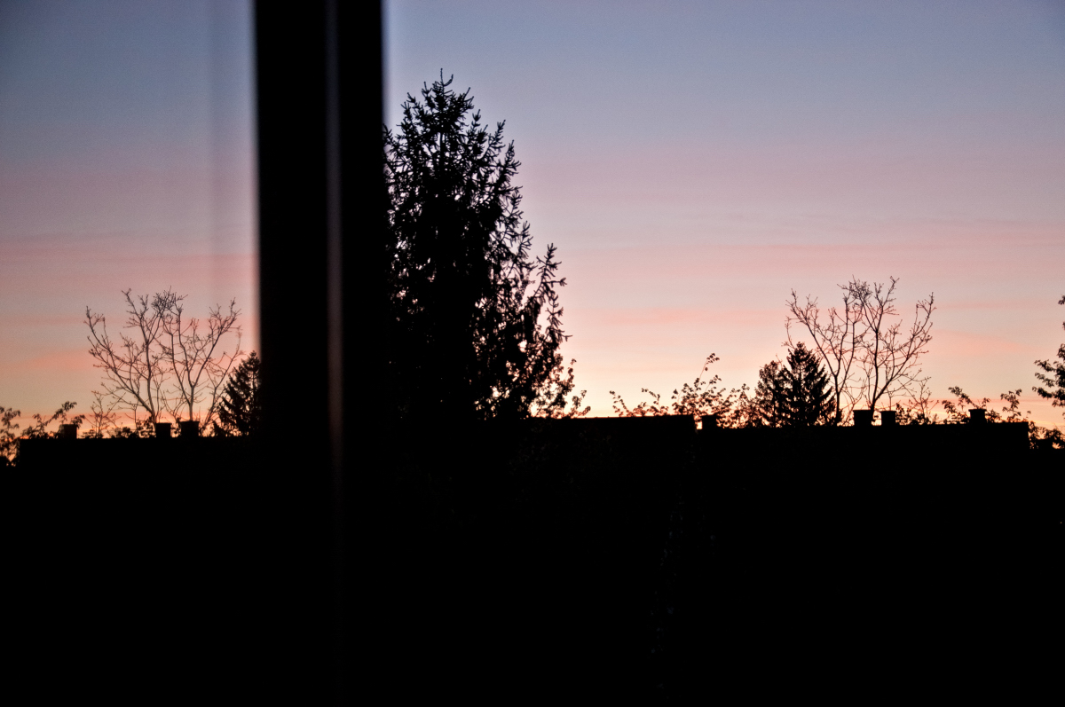 _dsc0950d4qae.jpg