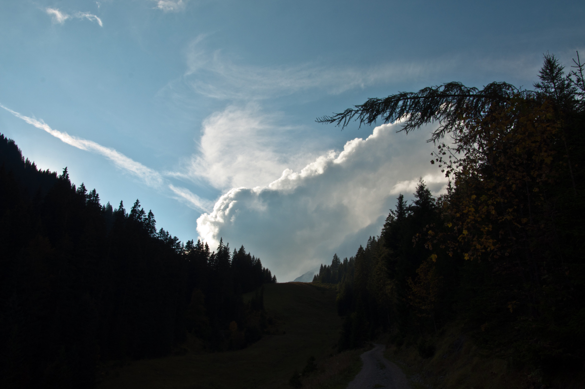 _dsc0952evj76.jpg