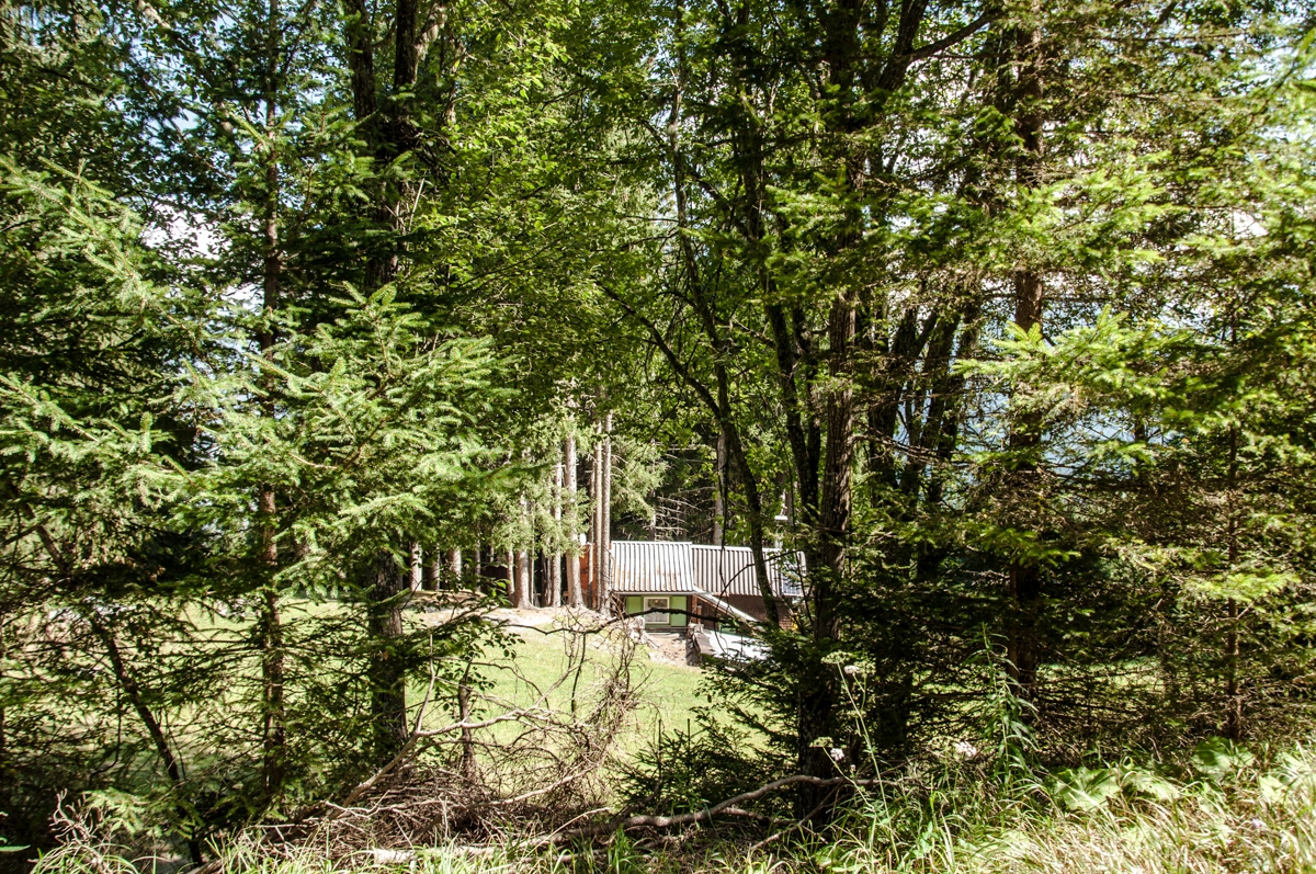 _dsc0952yksem.jpg
