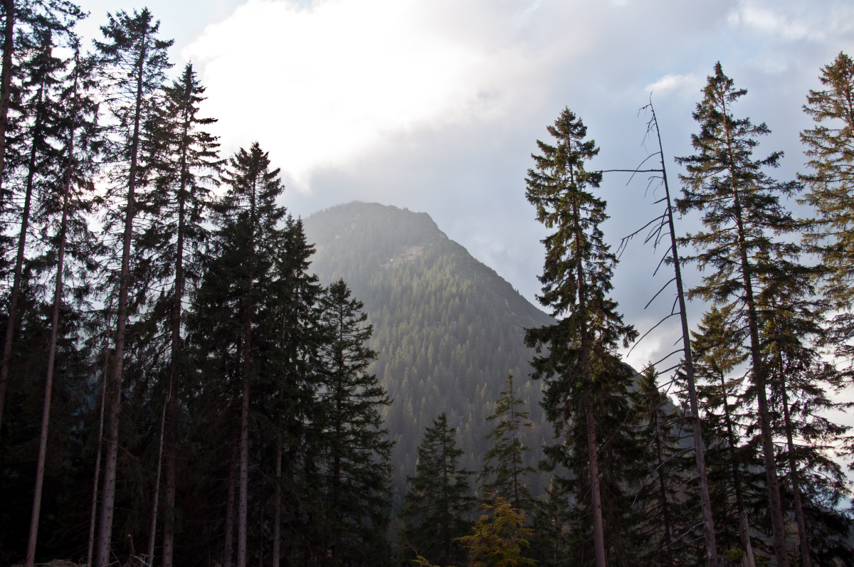 _dsc09699ljxf.jpg