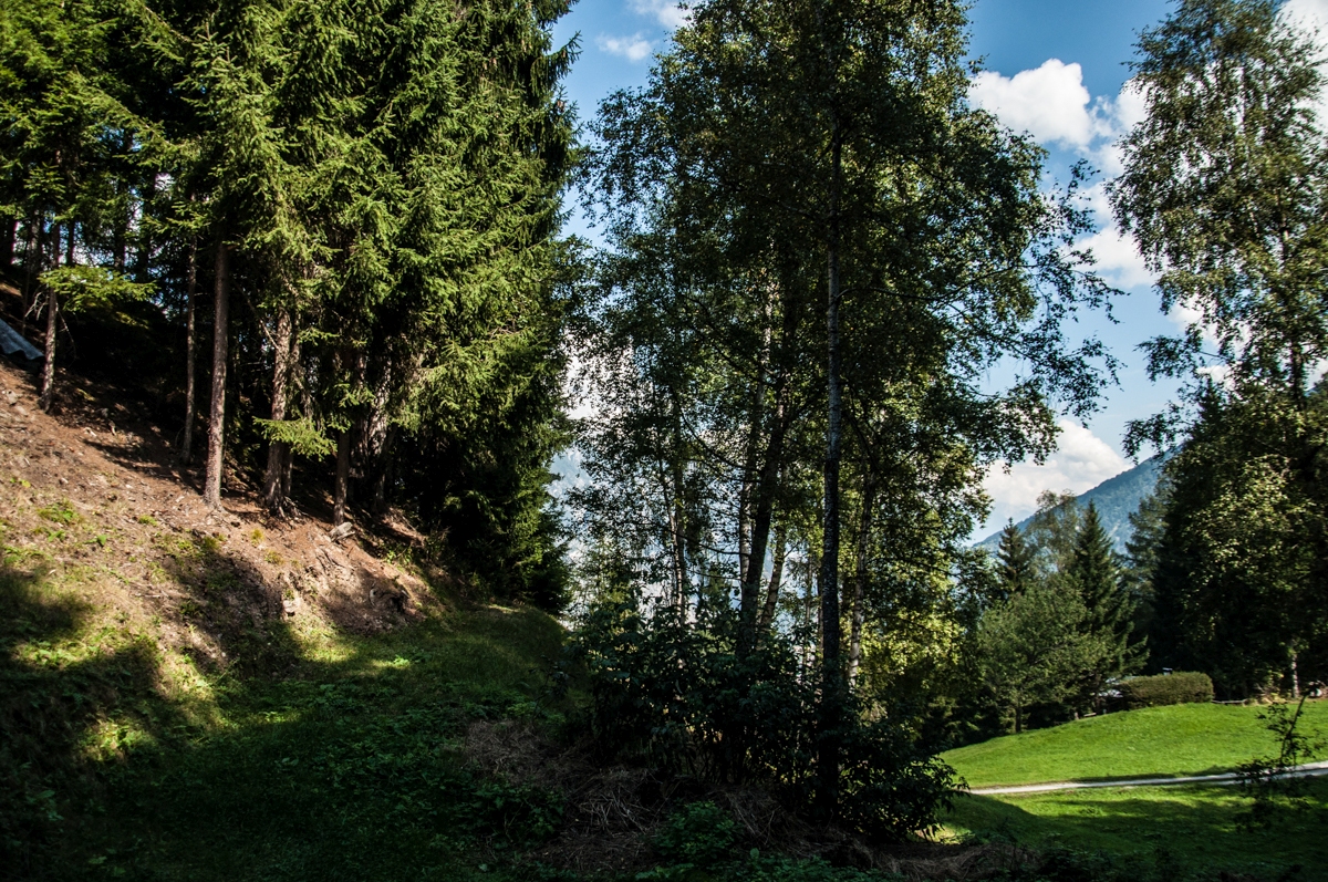 _dsc0970c9yxp.jpg