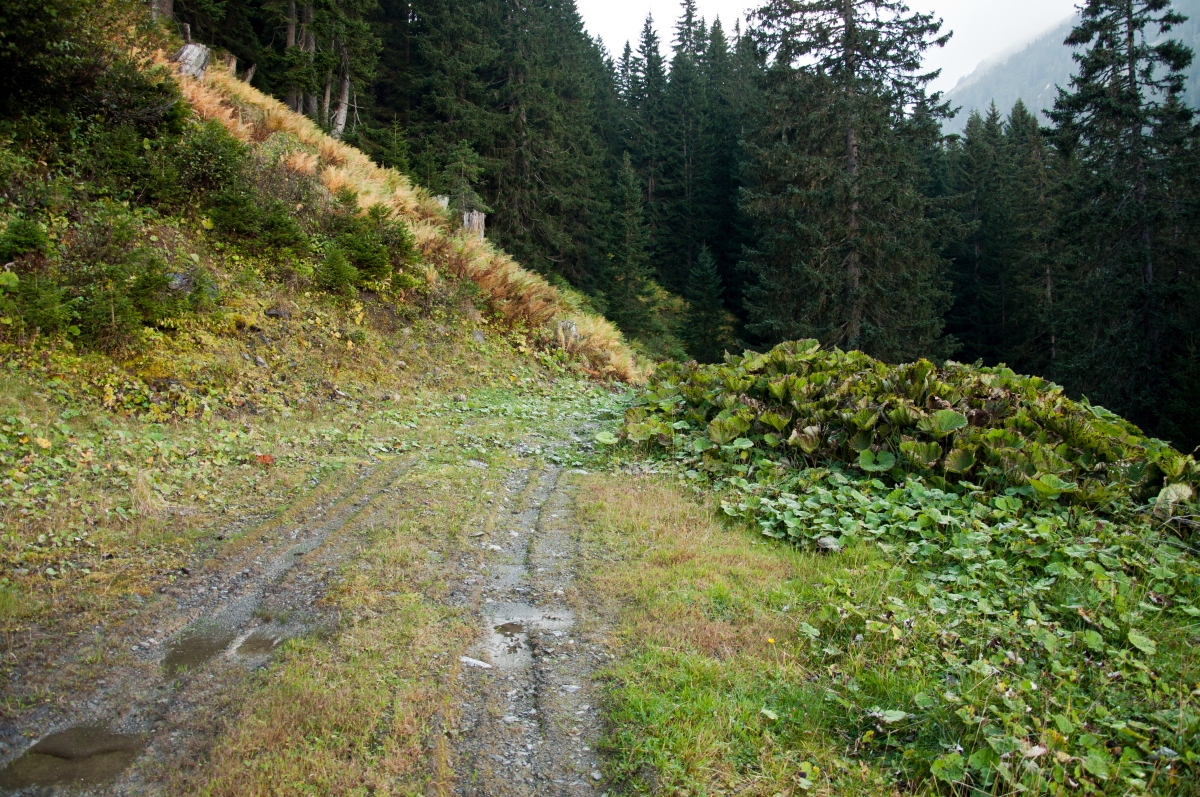 _dsc09750ukut.jpg