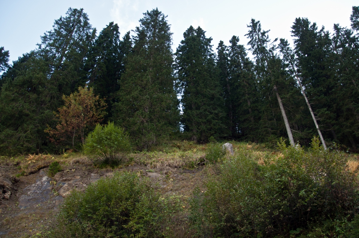 _dsc0976a0qj2.jpg