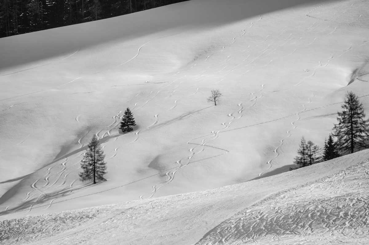 _dsc0979d3kfs.jpg