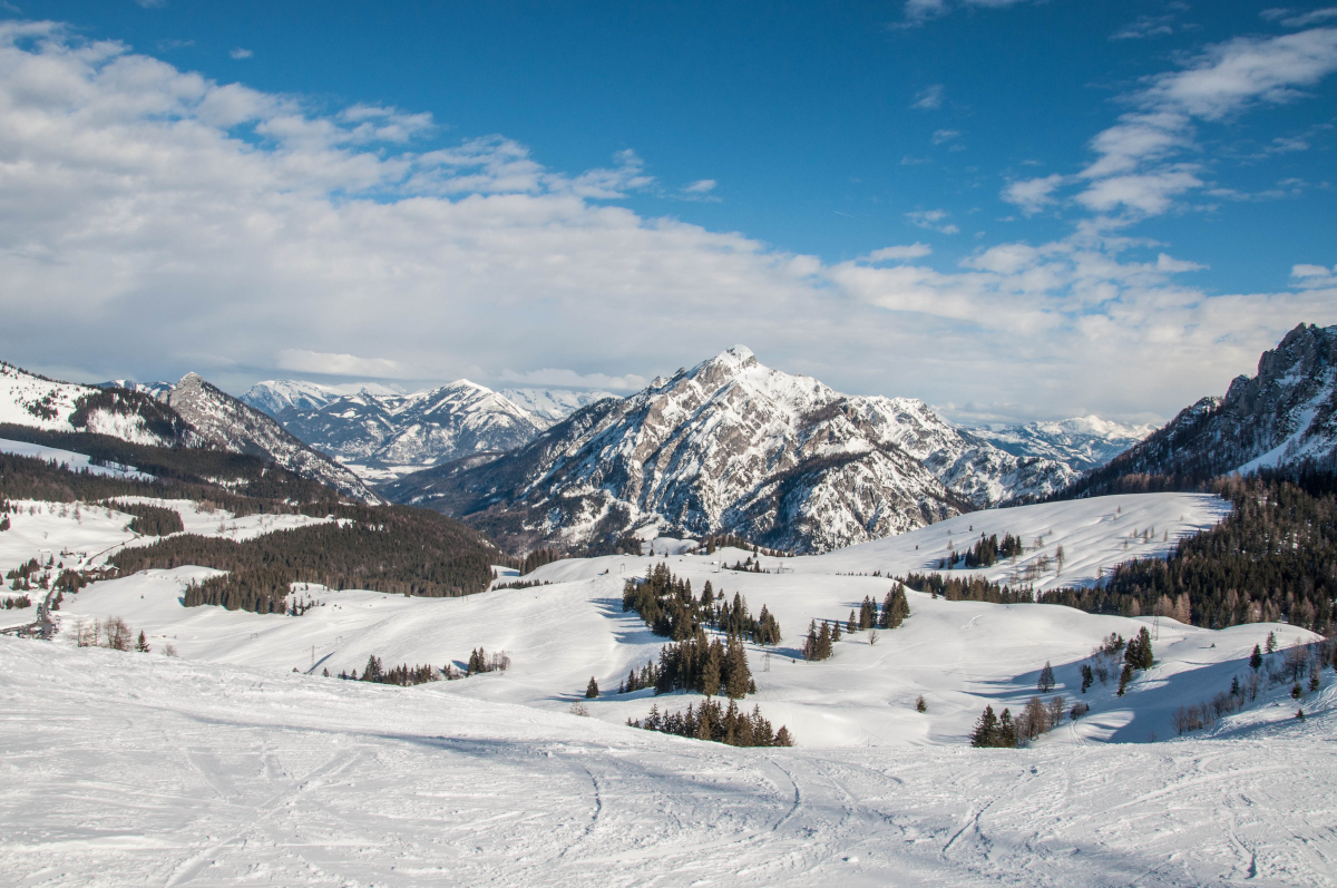 _dsc10024fktw.jpg