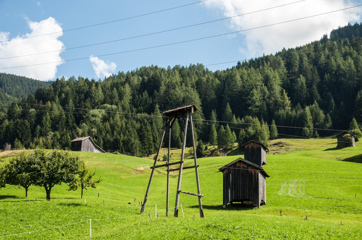 _dsc1008utswk.jpg