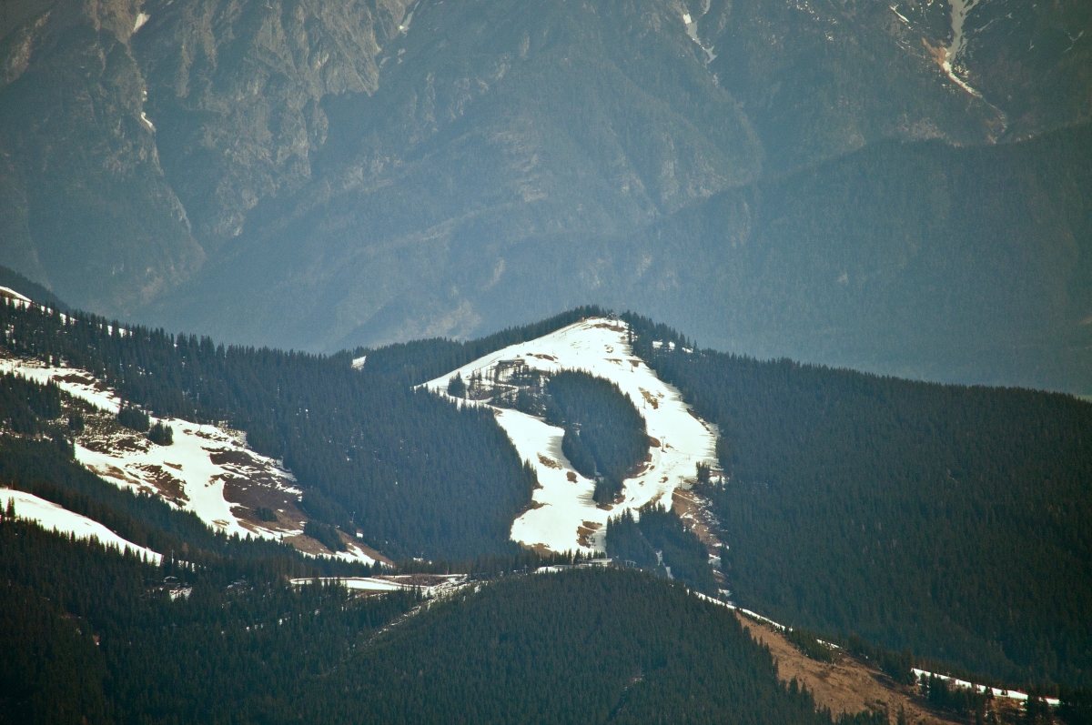 _dsc1012x8u83.jpg