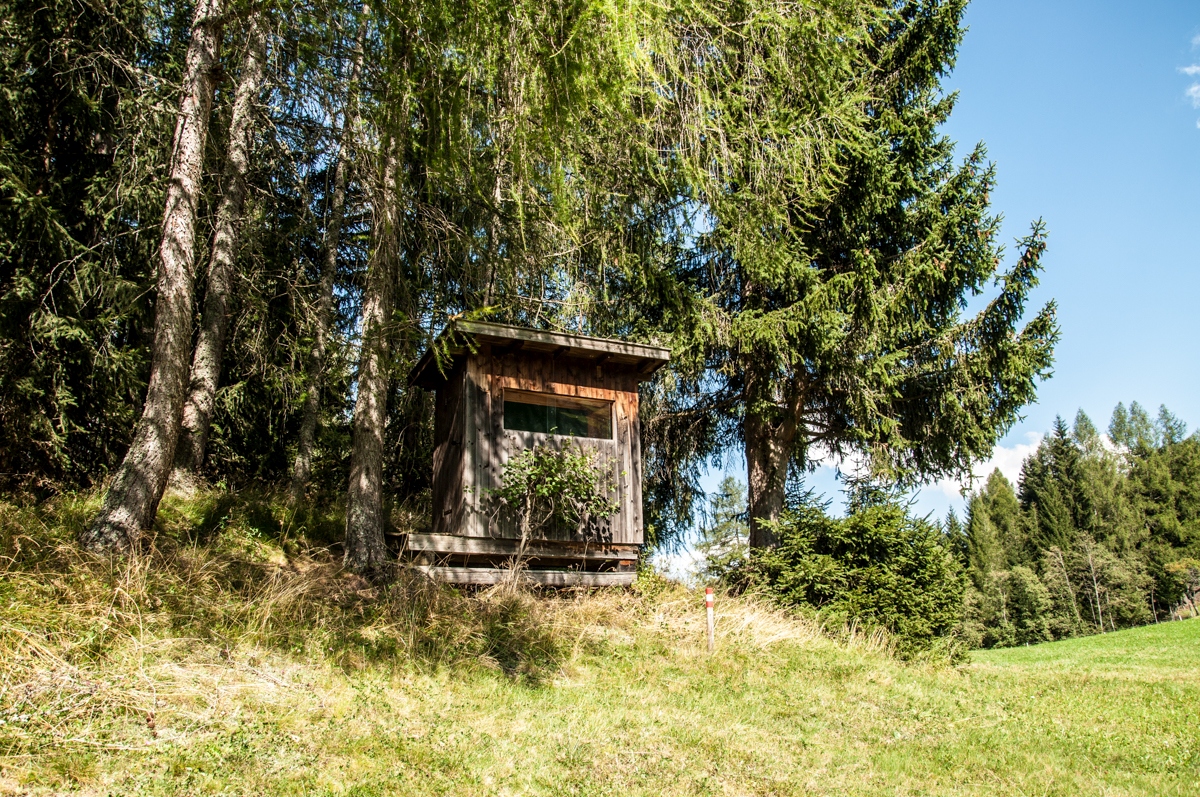 _dsc1013olsxx.jpg