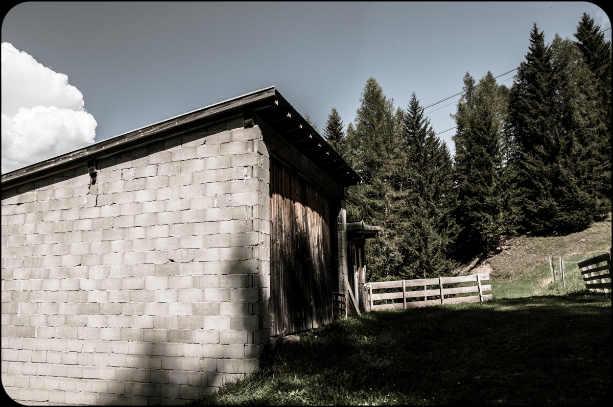 _dsc1016basuy.jpg