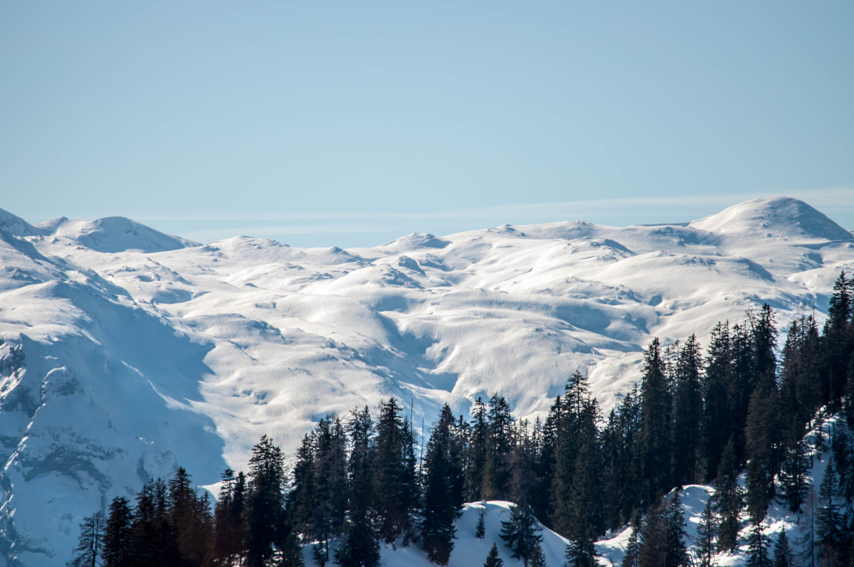 _dsc10219pkl8.jpg