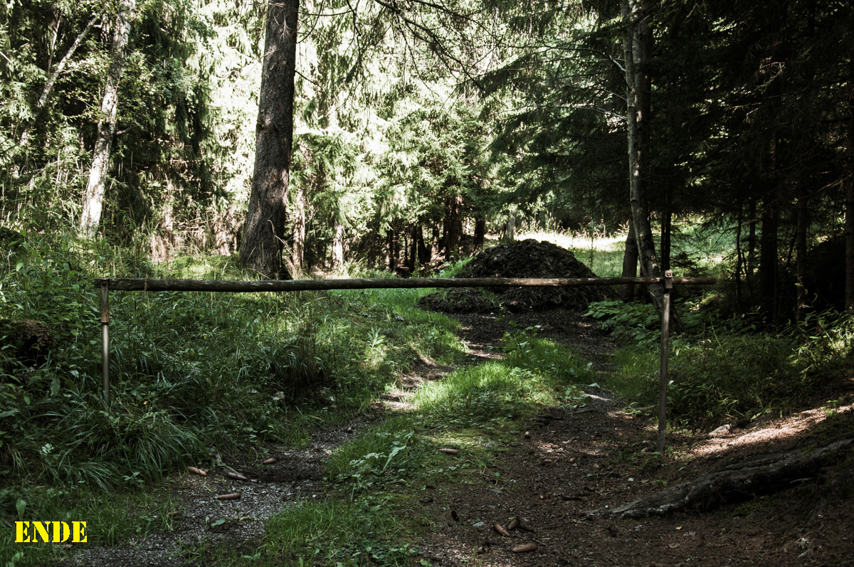 _dsc10376fjnm.jpg