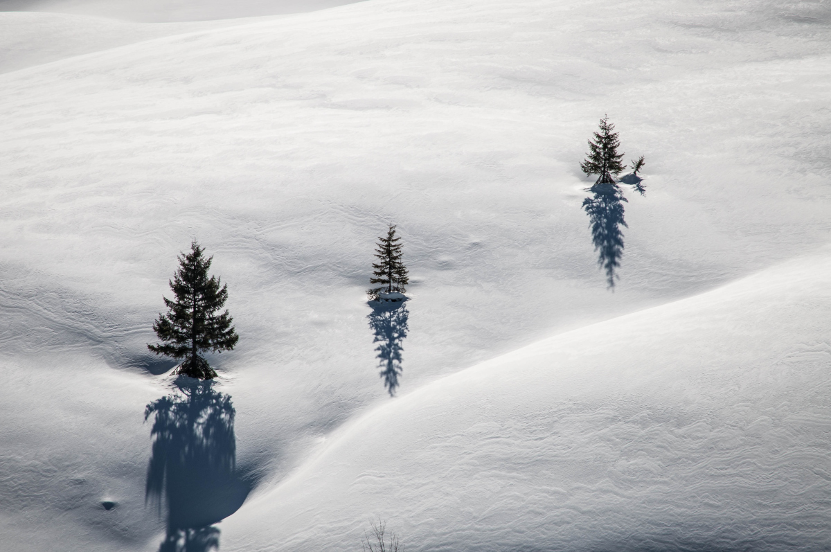 _dsc1038psjh1.jpg
