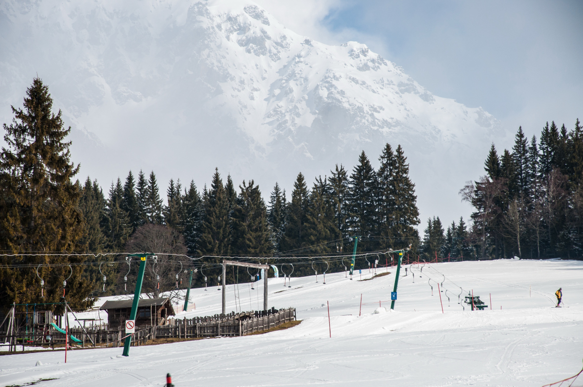 _dsc109097fcl.jpg