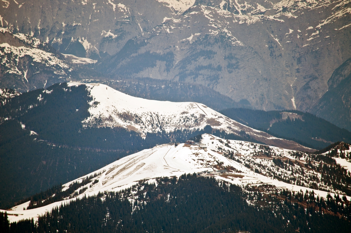 _dsc1091ixsoy.jpg