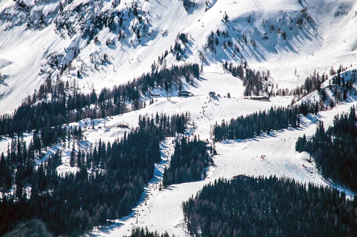 _dsc1144sidn1.jpg
