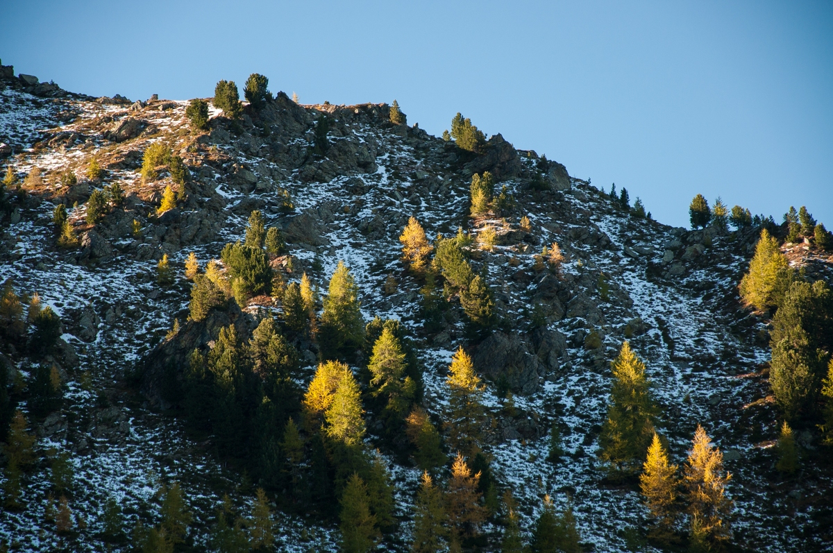 _dsc1213eosy8.jpg