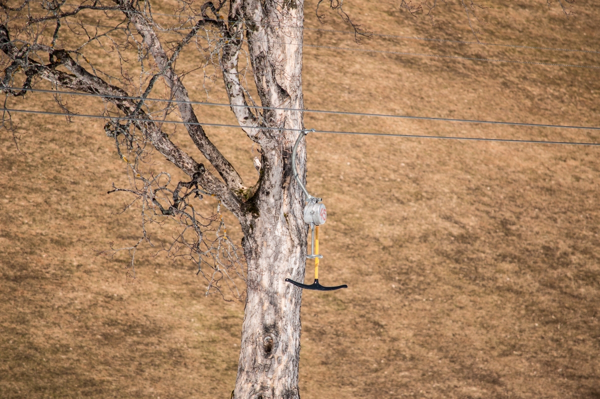 _dsc1224gufbp.jpg