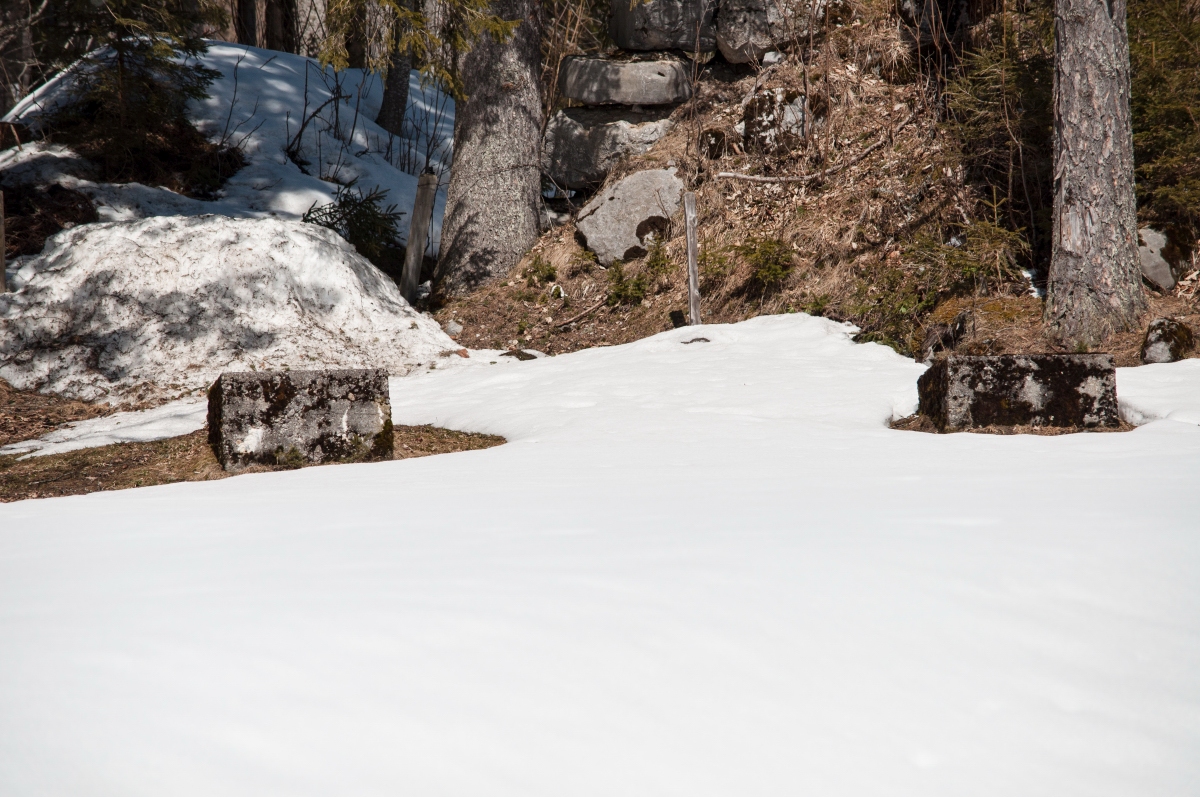 _dsc1230apenp.jpg