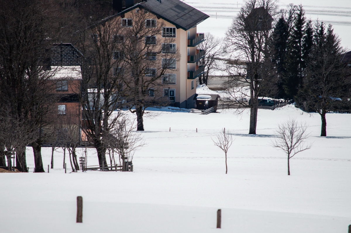 _dsc123396imx.jpg